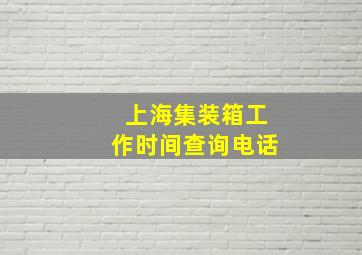 上海集装箱工作时间查询电话