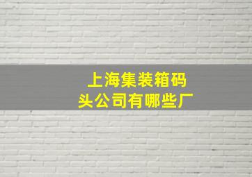 上海集装箱码头公司有哪些厂