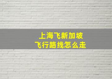 上海飞新加坡飞行路线怎么走