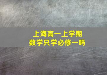 上海高一上学期数学只学必修一吗