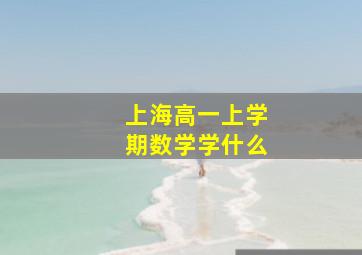 上海高一上学期数学学什么