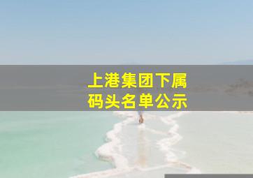 上港集团下属码头名单公示