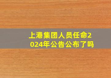 上港集团人员任命2024年公告公布了吗