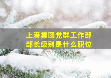 上港集团党群工作部部长级别是什么职位