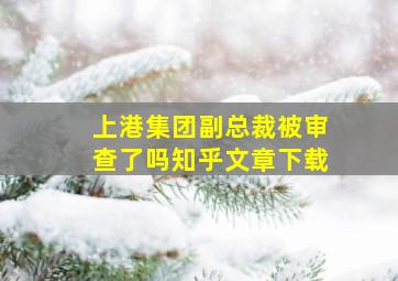 上港集团副总裁被审查了吗知乎文章下载