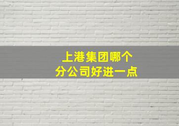 上港集团哪个分公司好进一点