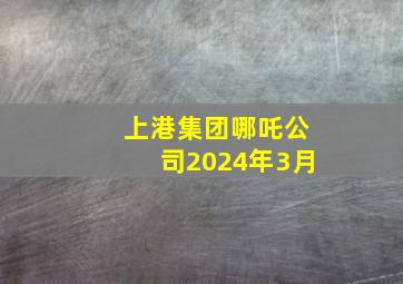 上港集团哪吒公司2024年3月