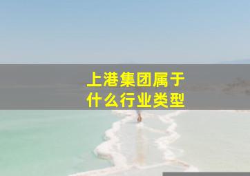 上港集团属于什么行业类型