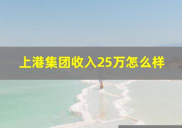 上港集团收入25万怎么样