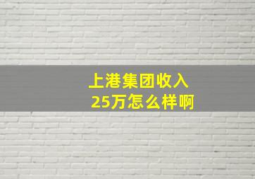 上港集团收入25万怎么样啊