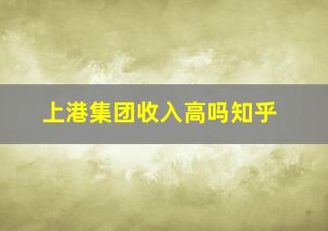 上港集团收入高吗知乎