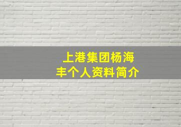 上港集团杨海丰个人资料简介