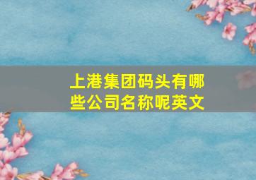 上港集团码头有哪些公司名称呢英文