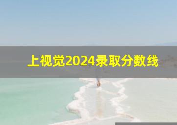 上视觉2024录取分数线