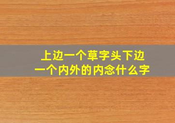 上边一个草字头下边一个内外的内念什么字