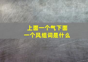 上面一个气下面一个风组词是什么