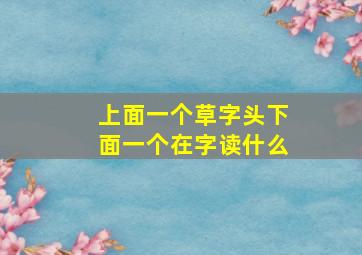 上面一个草字头下面一个在字读什么