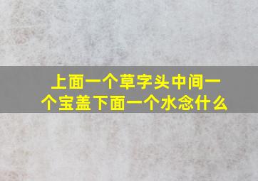 上面一个草字头中间一个宝盖下面一个水念什么