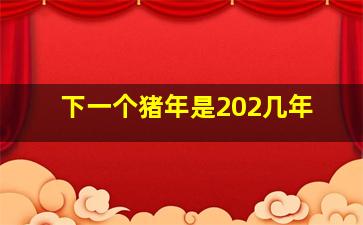 下一个猪年是202几年