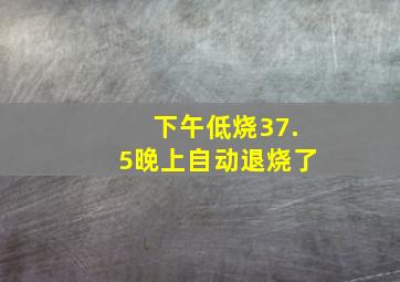 下午低烧37.5晚上自动退烧了