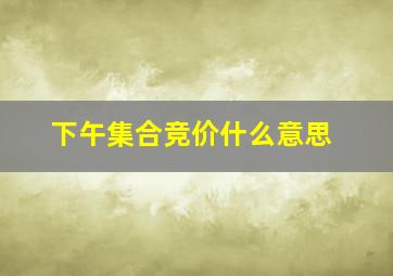 下午集合竞价什么意思