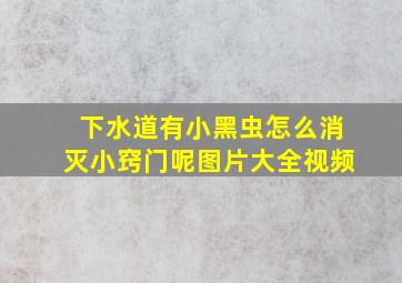 下水道有小黑虫怎么消灭小窍门呢图片大全视频