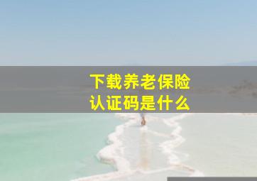 下载养老保险认证码是什么