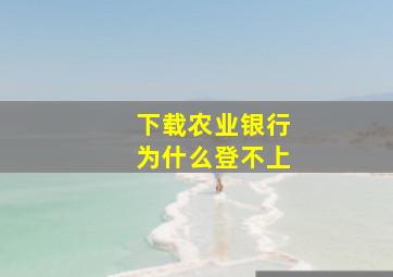 下载农业银行为什么登不上