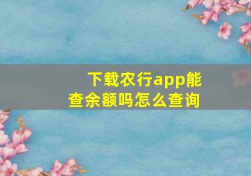 下载农行app能查余额吗怎么查询