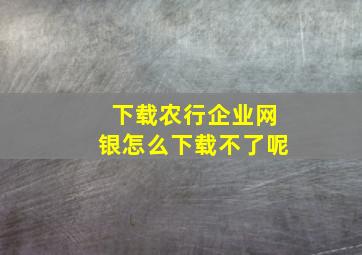 下载农行企业网银怎么下载不了呢