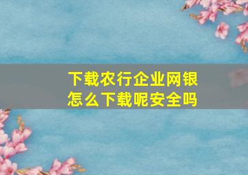 下载农行企业网银怎么下载呢安全吗