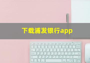 下载浦发银行app