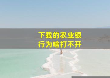 下载的农业银行为啥打不开