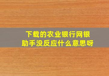 下载的农业银行网银助手没反应什么意思呀