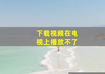 下载视频在电视上播放不了