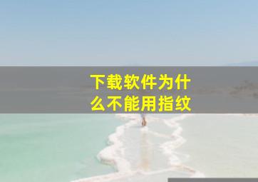 下载软件为什么不能用指纹