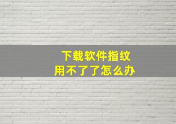 下载软件指纹用不了了怎么办