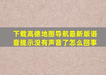 下载高德地图导航最新版语音提示没有声音了怎么回事