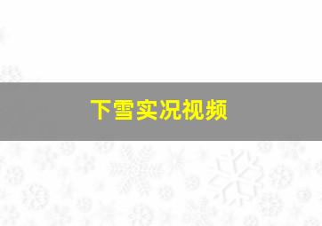 下雪实况视频