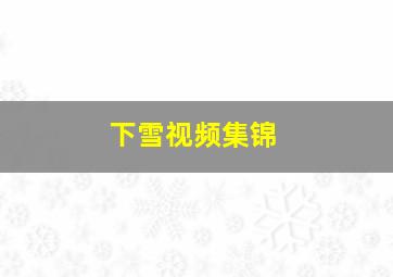 下雪视频集锦