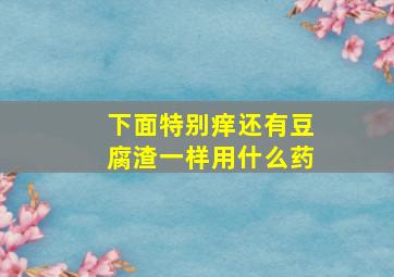 下面特别痒还有豆腐渣一样用什么药