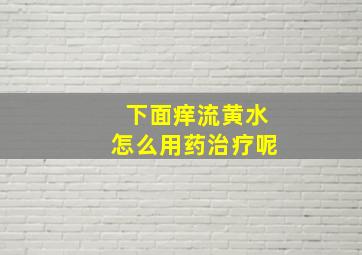 下面痒流黄水怎么用药治疗呢