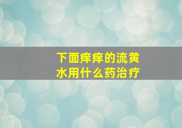 下面痒痒的流黄水用什么药治疗