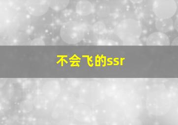 不会飞的ssr