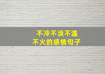 不冷不淡不温不火的感情句子