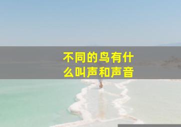 不同的鸟有什么叫声和声音