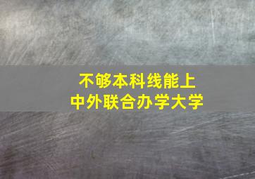 不够本科线能上中外联合办学大学