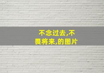 不念过去,不畏将来,的图片