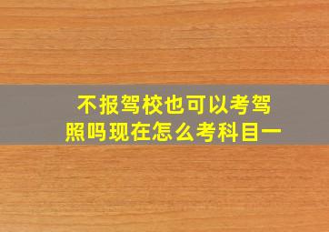 不报驾校也可以考驾照吗现在怎么考科目一