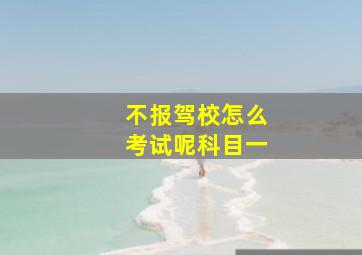 不报驾校怎么考试呢科目一